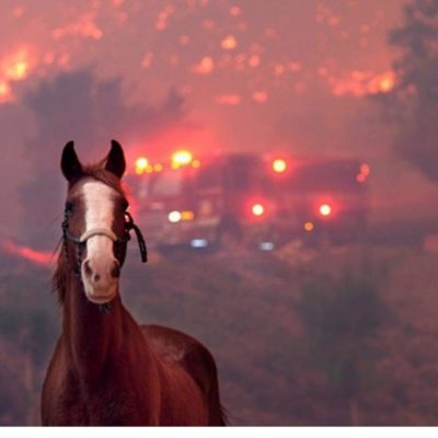 California Fires